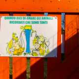 ...E Cochino � diventato un simbolo di questo parco: un esemplare che viene allevato solo per essere mangiato, ma capace di regalare compagnia e conforto. Un essere che ha il diritto, come gli altri, di vivere in libert�. Perch�, come recita il cartello all�ingresso, �se dici di amare gli animali, ricordati che sono tanti��